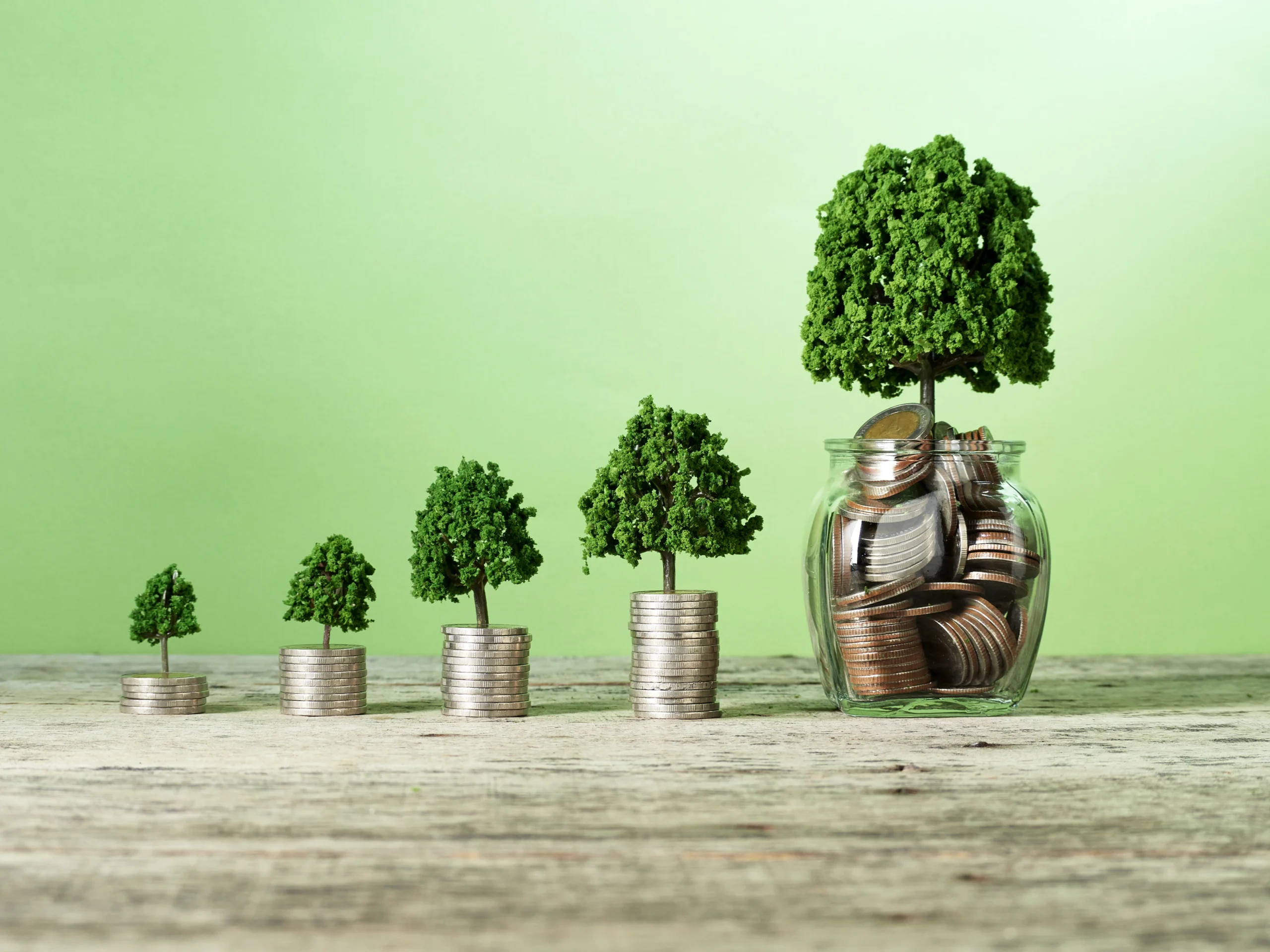 Portfolio Management